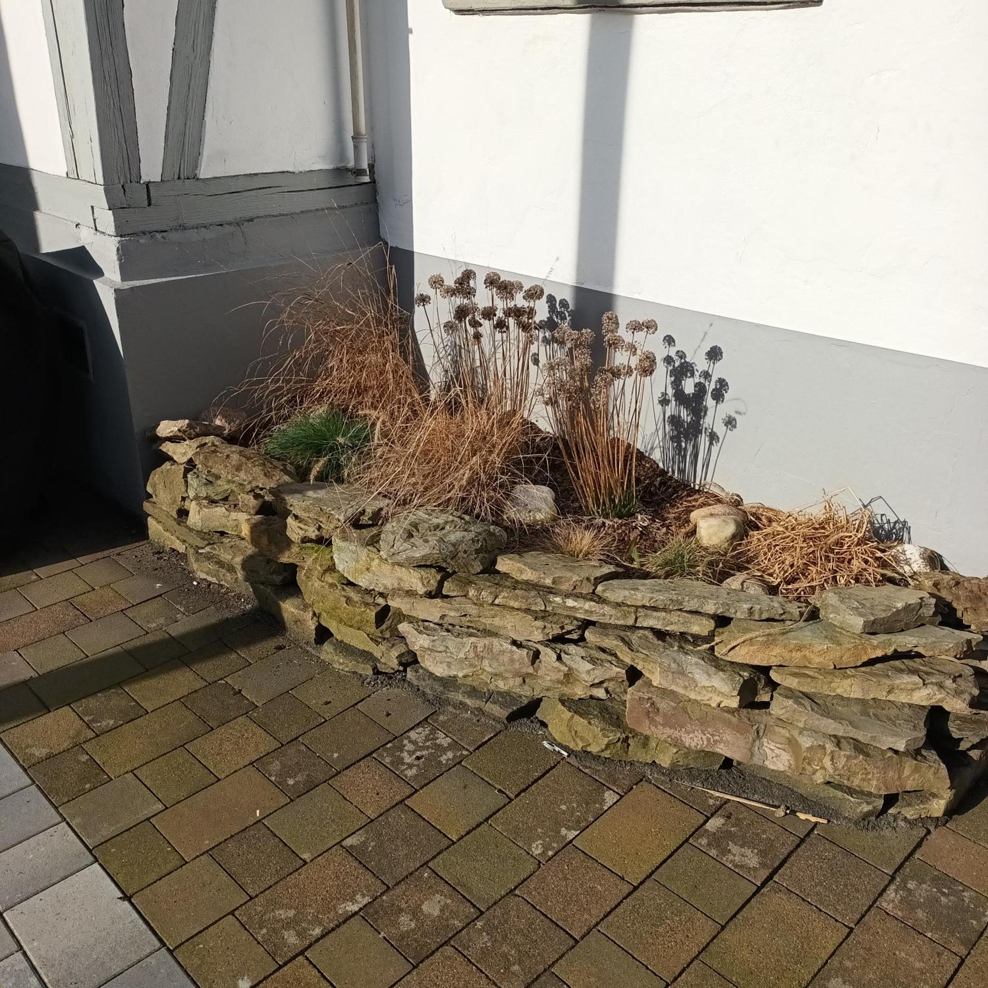 Ferienhaus Usseln Willingen (Upland) Exterior foto